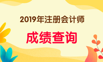 安徽2019年注册会计师成绩查询