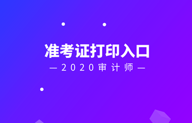 2020审计师准考证打印入口