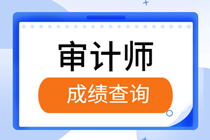 2019审计师成绩查询