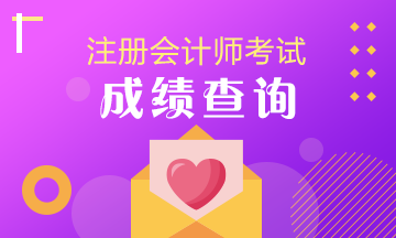 2019年江西南昌注册会计师考试成绩查询入口