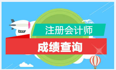 江苏徐州注册会计师考试成绩查询