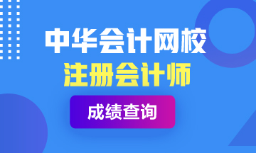 甘肃2019年CPA官网成绩查询入口