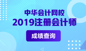 2019年河南cpa成绩查询