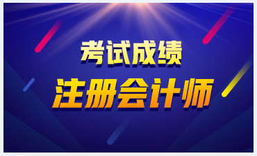 山东2019年CPA官网成绩查询入口