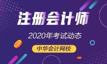 2020年cpa考试时间