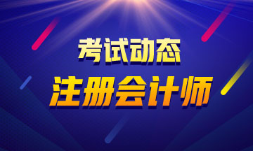 河北省2019年注会试题