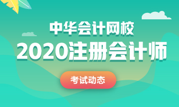 cpa2020考试时间是什么时候？