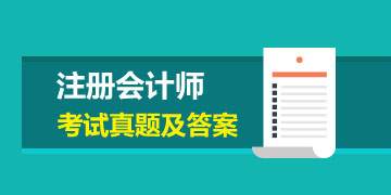 2019年注册会计师考试会计试题及答案