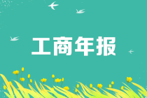 工商年报