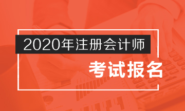 山西2020年注册会计师报名入口