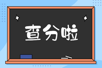 新疆2019年中级经济师成绩查询