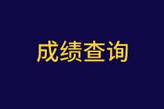 2020初级审计师成绩查询