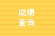 2020中级审计师成绩查询信息