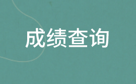 2020初级审计师成绩查询信息