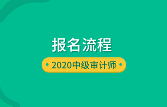 2020初级审计师报名流程