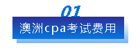 2020年澳洲注册会计师考试费用