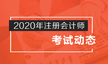 安徽2020年注会考试时间