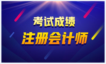 重庆2019年注册会计师成绩查询流程已公布！