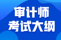 审计师考试大纲