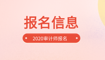 2020审计师报名信息