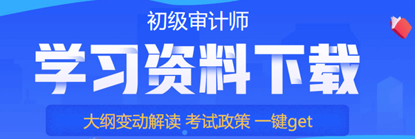 初级审计师学习资料