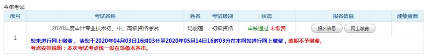 审计师考试报名