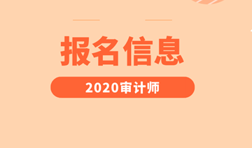 2020审计师报名信息