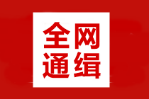 全网通缉：高效/无忧定制班学员 你们老师喊你打卡学习啦！