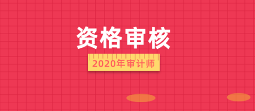 2020年审计师考试资格审核信息汇总