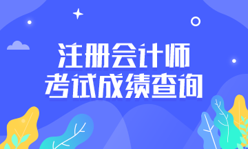 芜湖注册会计师考试成绩查询时间