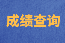 南宁2020年资产评估师考试成绩查询流程公布了吗？