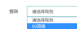 报考级别