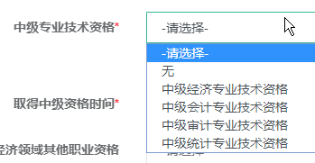 中级专业技术资格