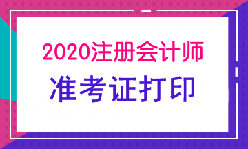 河南2020CPA准考证下载打印时间