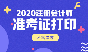 宁夏2020年CPA准考证打印时间