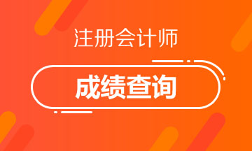 2020年青海注册会计师成绩查询时间来喽！