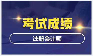 甘肃2020CPA考试成绩查询时间定了吗？