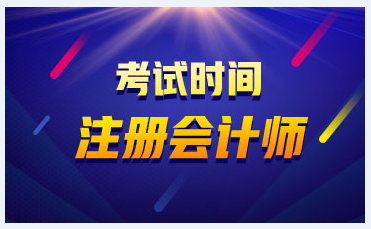 陕西2020CPA考试时间定了吗？什么时候？