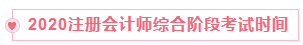 2020注册会计师综合阶段考试时间