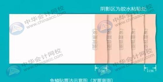 报销时粘贴发票的那些小技巧你知道吗？会计上岗必备！