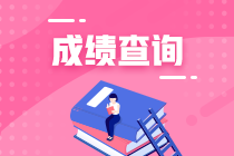 上海2020年资产评估师考试成绩查询时间到了吗？