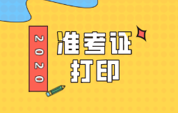 西藏2020年初级经济师准考证打印时间：11月17日-20日