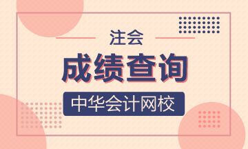 2020年北京地区注册会计师考试成绩查询