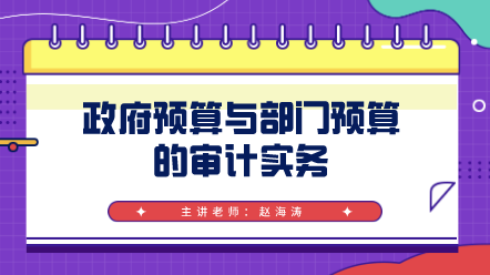 政府预算与部门预算的审计实务