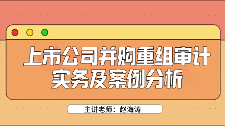 上市公司并购重组审计实务及案例分析