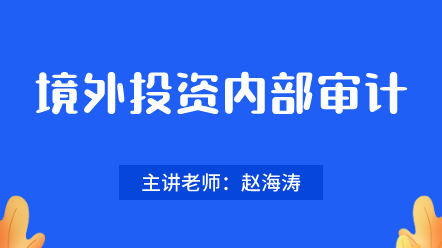 442境外投资内部审计