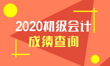 甘肃2020会计初级考试成绩查询入口在哪里？