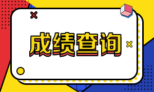 河湖北省2020年注册会计师考试成绩查询是什么时候？