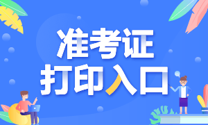 河南省高级经济师2020准考证打印入口