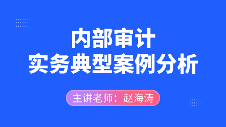 内部审计实务典型案例分析